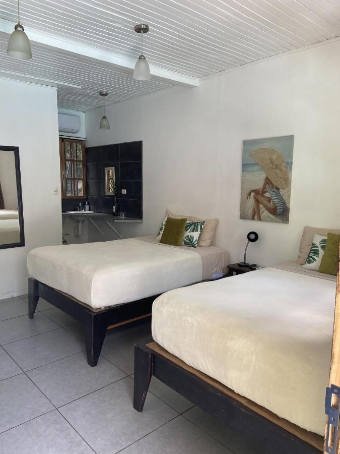 Lizard King Hotel & Suites Puerto Viejo de Talamanca Zewnętrze zdjęcie