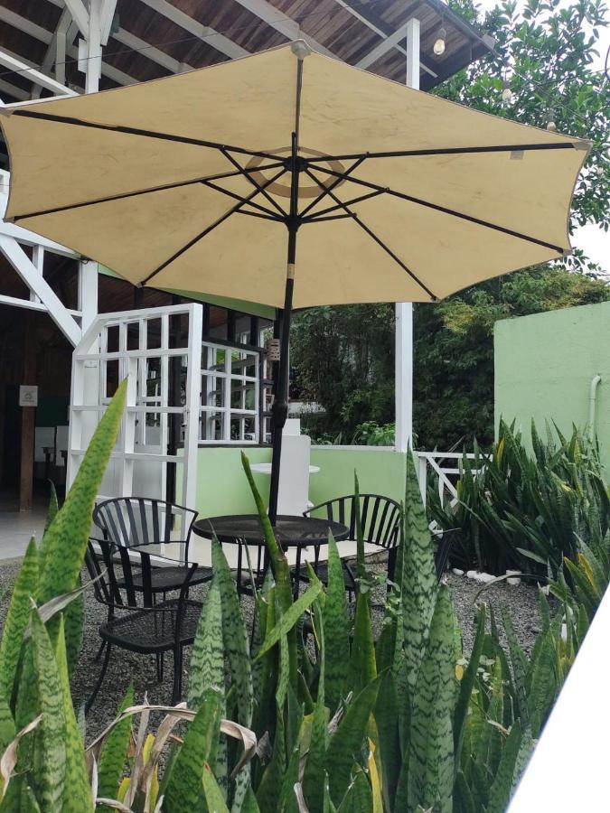 Lizard King Hotel & Suites Puerto Viejo de Talamanca Zewnętrze zdjęcie