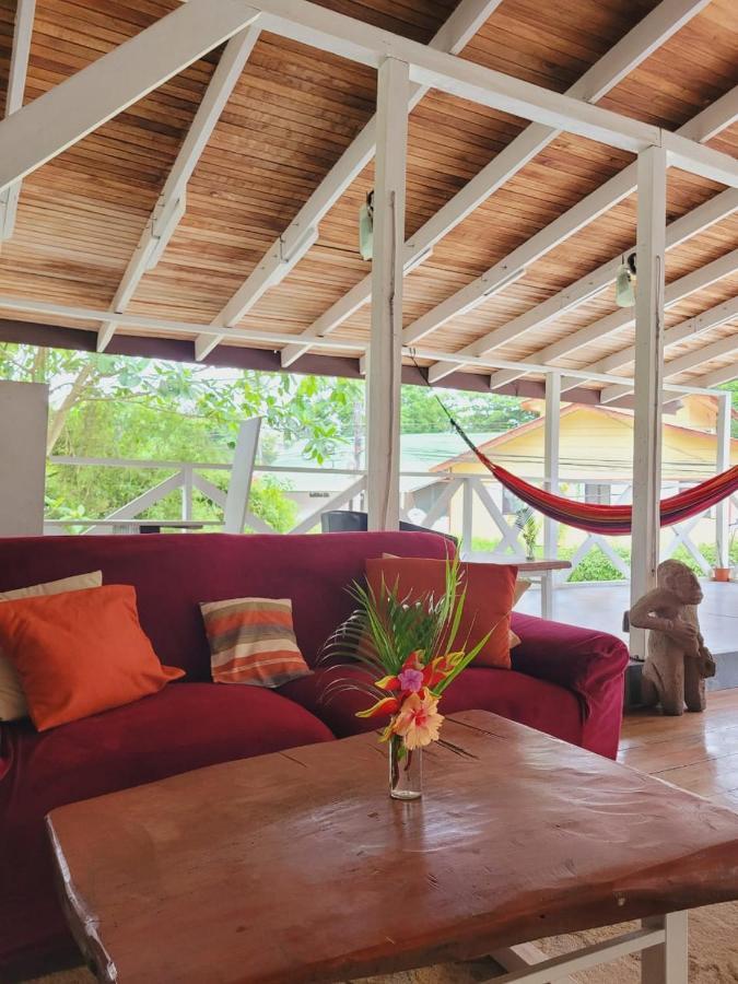 Lizard King Hotel & Suites Puerto Viejo de Talamanca Zewnętrze zdjęcie