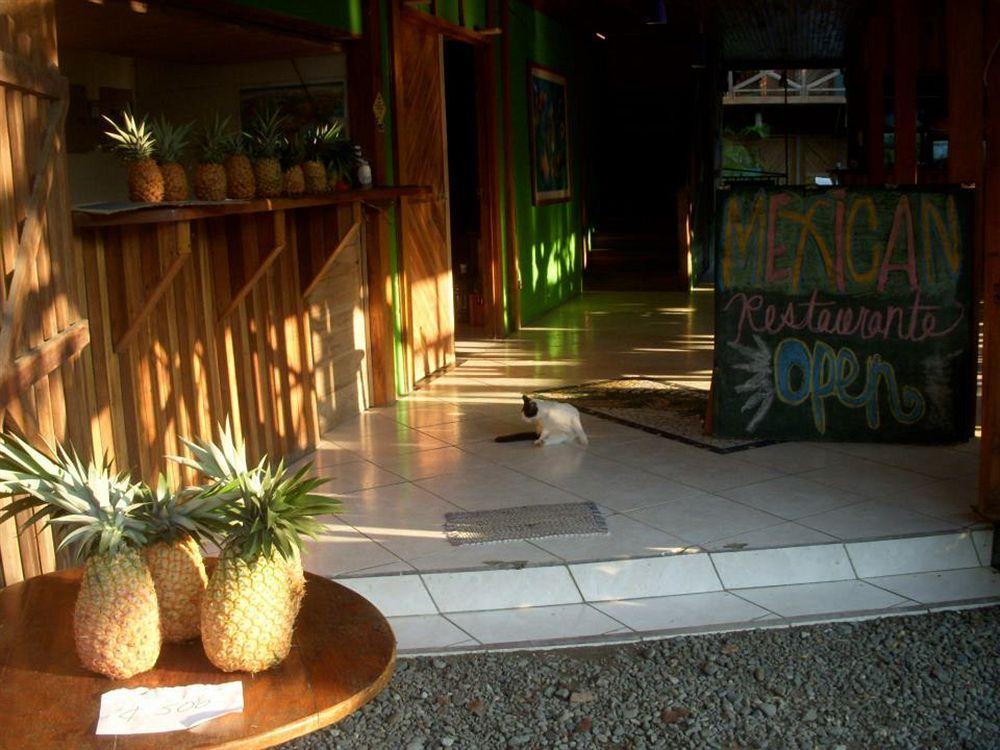Lizard King Hotel & Suites Puerto Viejo de Talamanca Zewnętrze zdjęcie