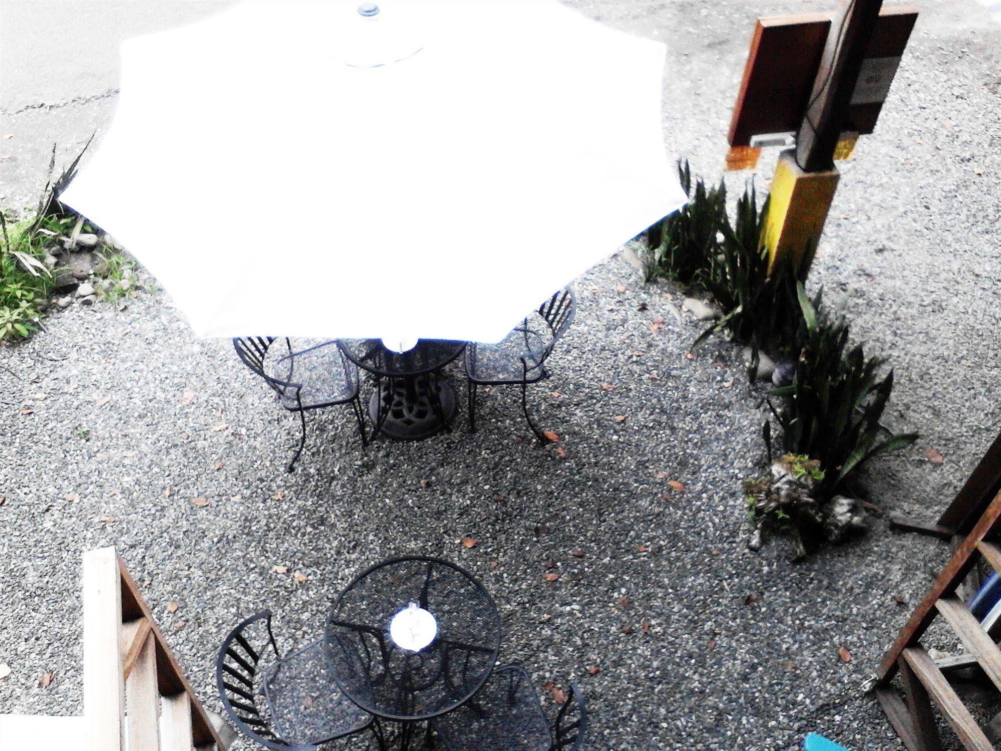 Lizard King Hotel & Suites Puerto Viejo de Talamanca Zewnętrze zdjęcie
